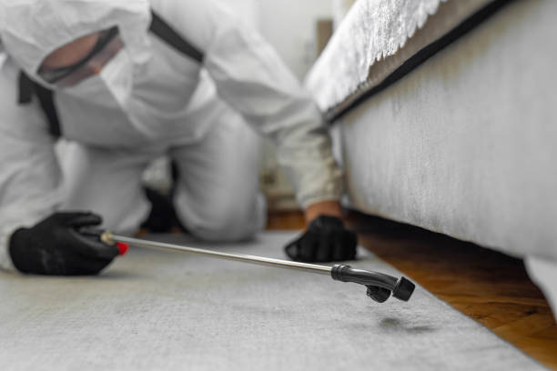 Professional Ant Control technician working in Lee County County, IA